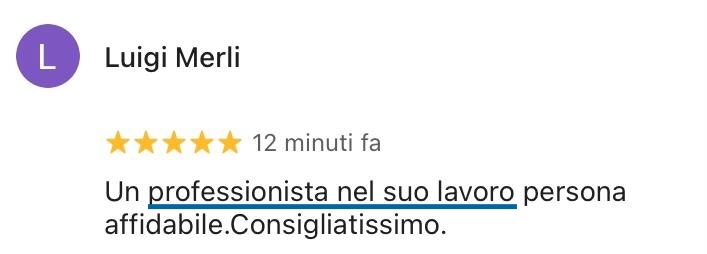 LuigiMerliFeedback